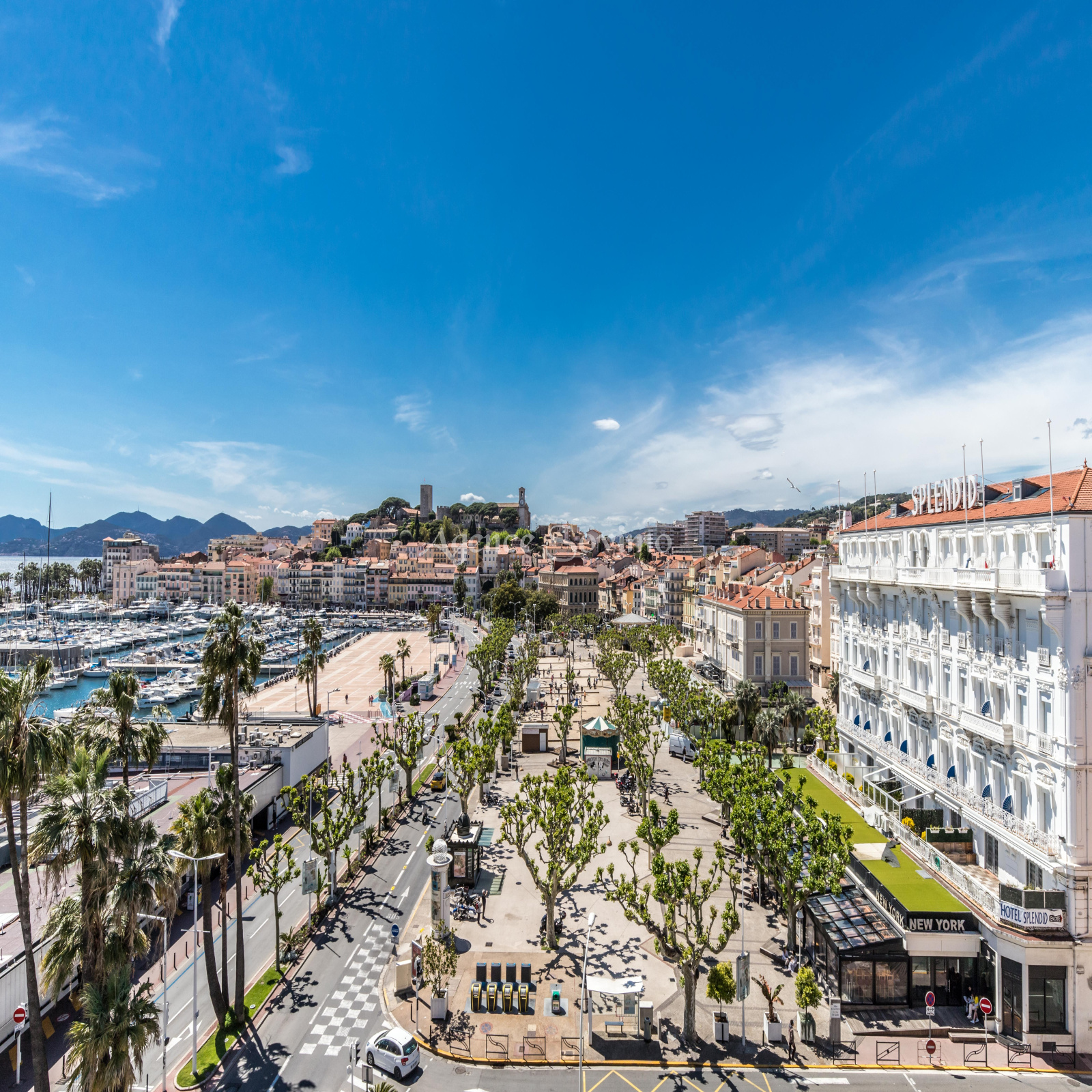 Image_1, Appartement, Cannes, ref :D3PPF