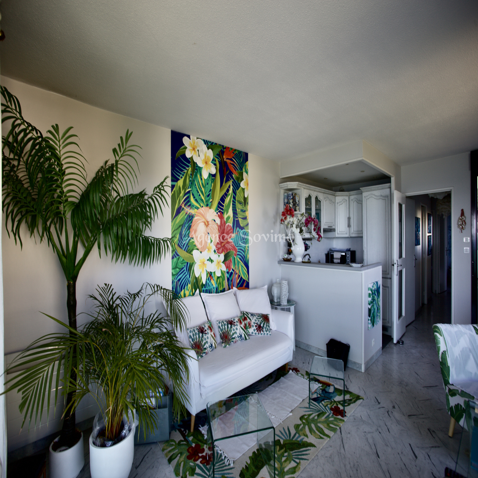 Image_6, Appartement, Cannes la Bocca, ref :3P34