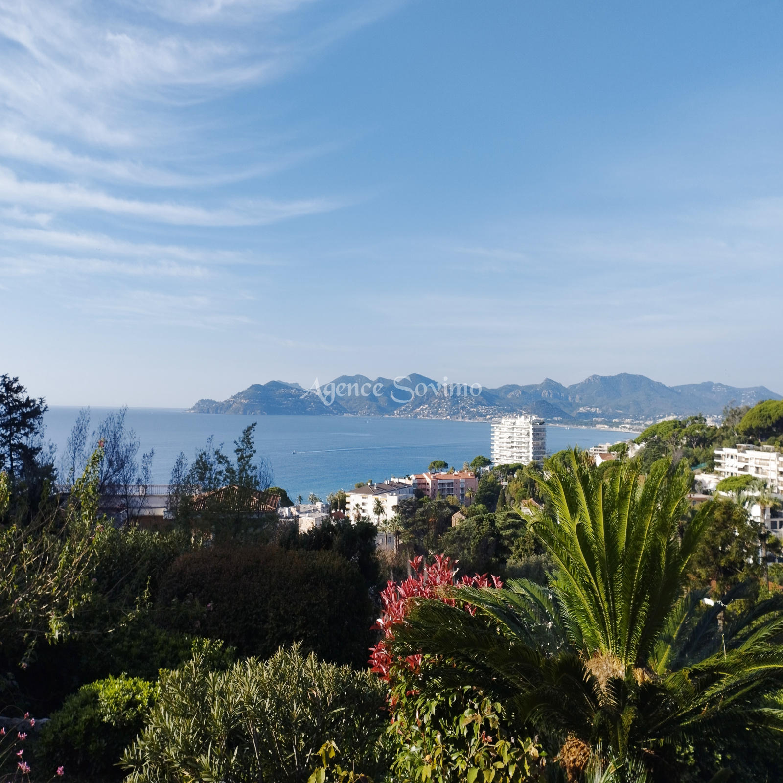 Image_1, Appartement, Cannes, ref :3575