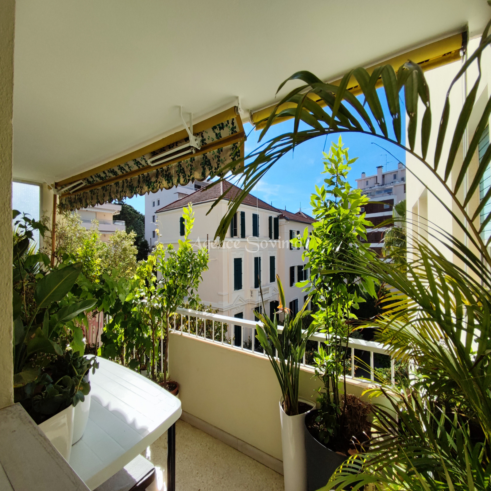 Image_1, Appartement, Cannes, ref :3613