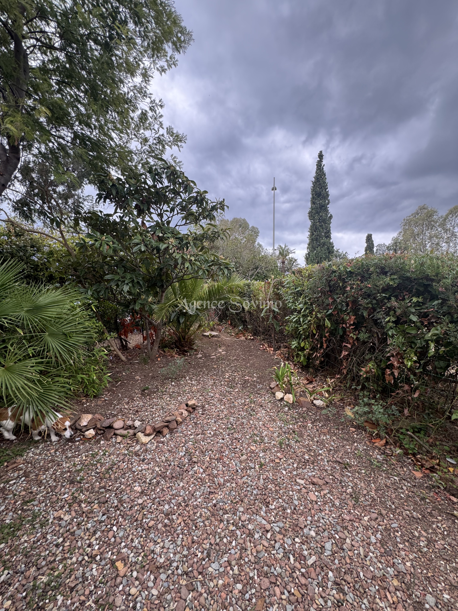 Image_3, Studio, Mandelieu-la-Napoule, ref :14498