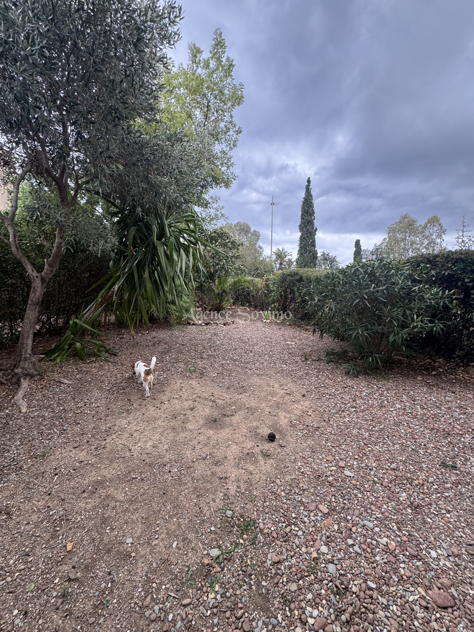 Image_15, Studio, Mandelieu-la-Napoule, ref :14498