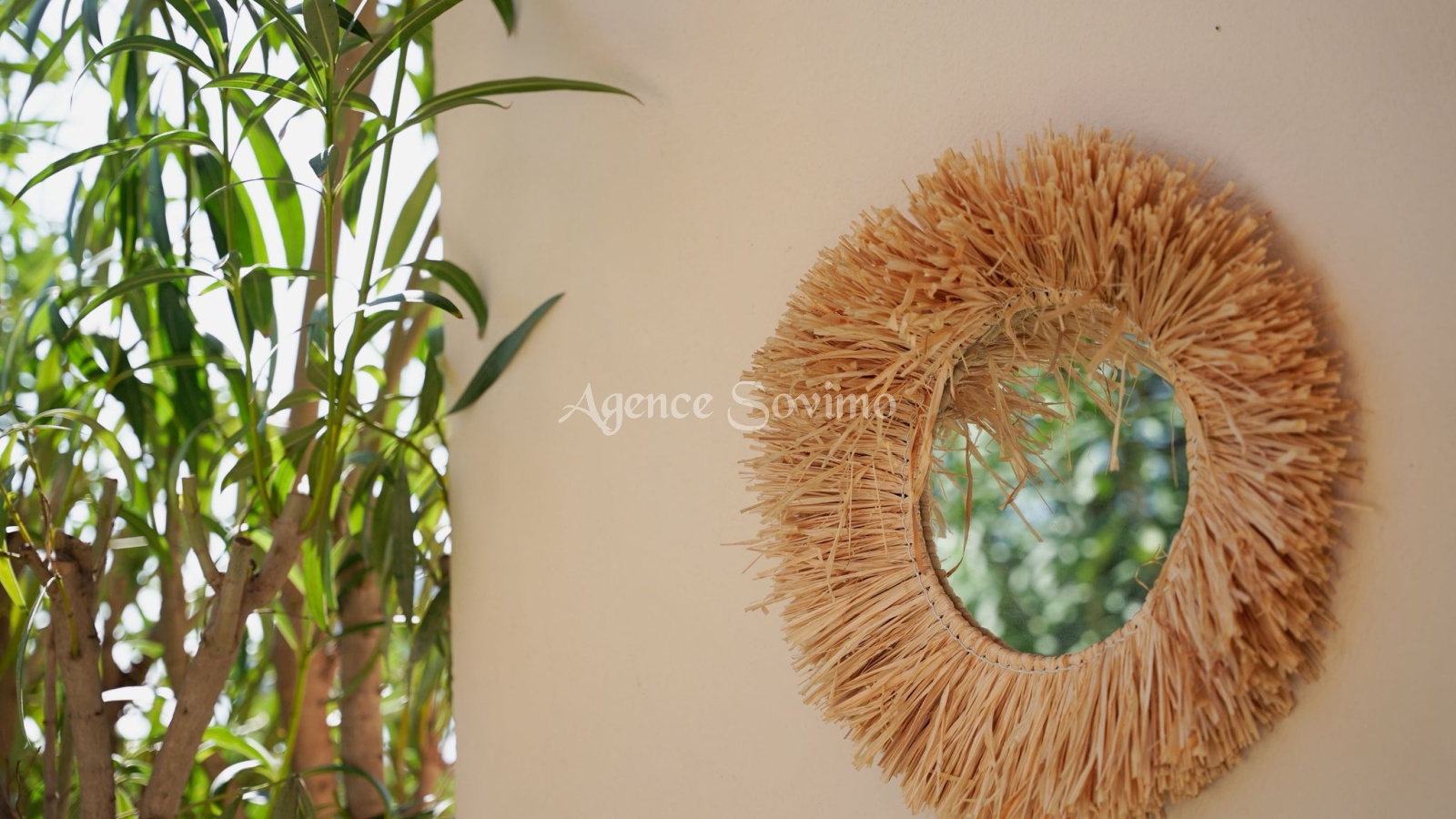 Image_23, Appartement, Mandelieu-la-Napoule, ref :391