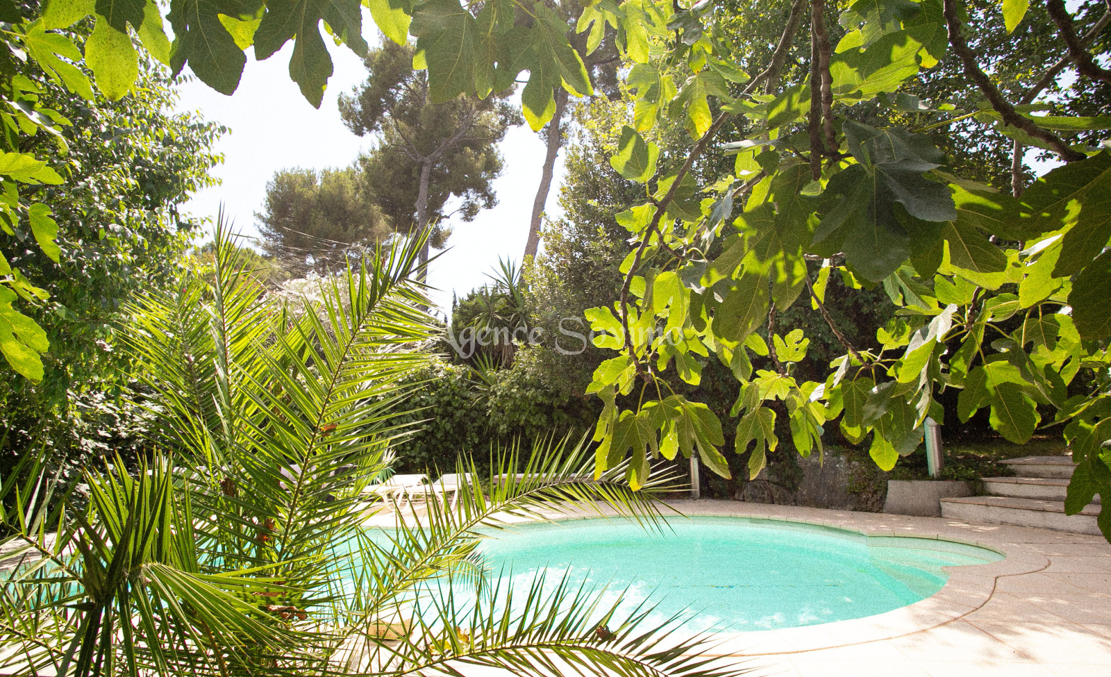 Image_1, Maison, Mougins, ref :3739