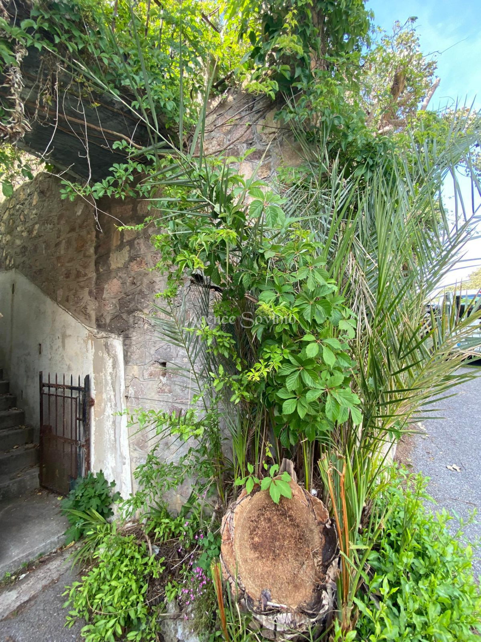 Image_6, Maison, Théoule-sur-Mer, ref :3771