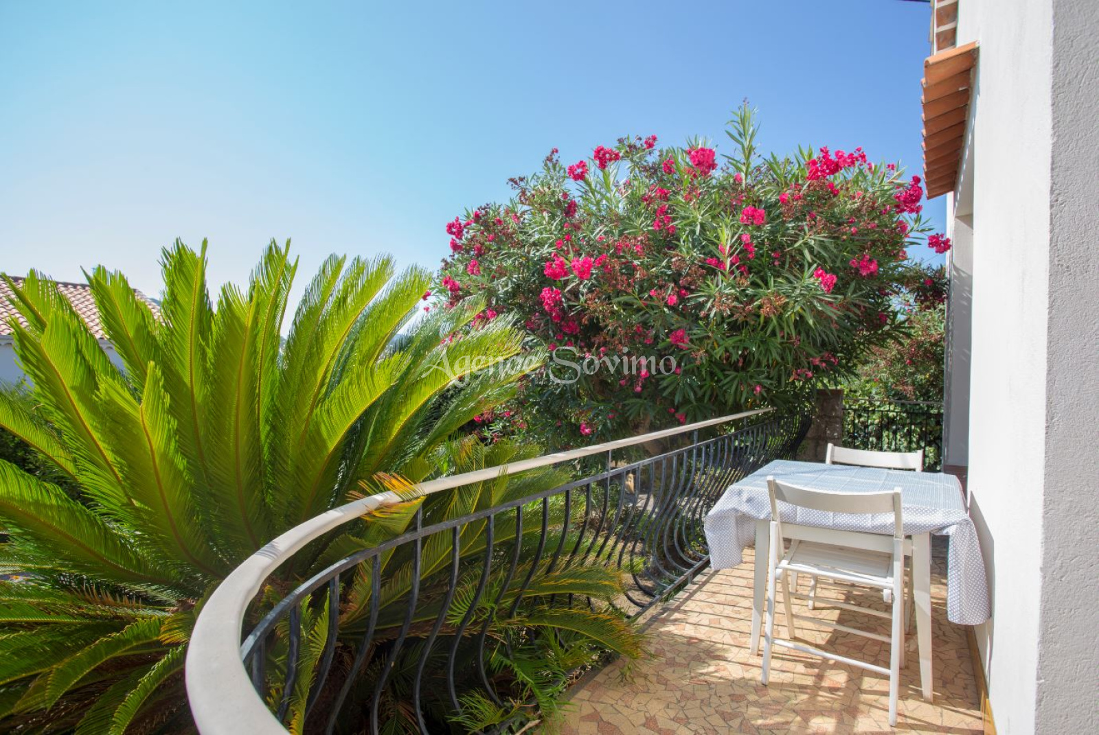 Image_8, Villa, Mandelieu-la-Napoule, ref :VEM